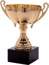 champion-cup